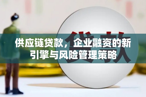 马龙供应链贷款，企业融资的新引擎与风险管理策略