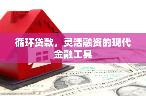 叶城循环贷款，灵活融资的现代金融工具