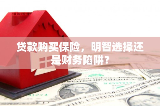 梅山贷款购买保险，明智选择还是财务陷阱？