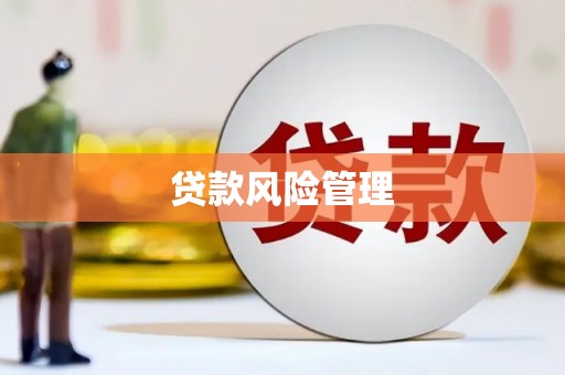 林内贷款风险管理