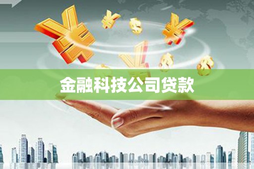 津南金融科技公司贷款
