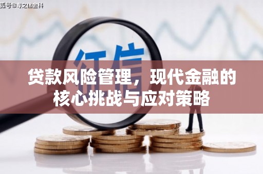远安贷款风险管理，现代金融的核心挑战与应对策略