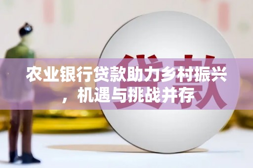桓台农业银行贷款助力乡村振兴，机遇与挑战并存