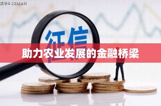 大理助力农业发展的金融桥梁