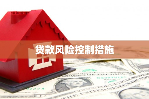 解放贷款风险控制措施
