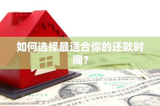 虎林如何选择最适合你的还款时间？