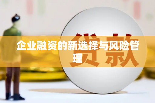 云和企业融资的新选择与风险管理