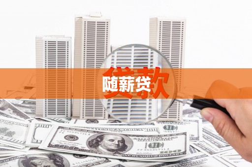 松北随薪贷