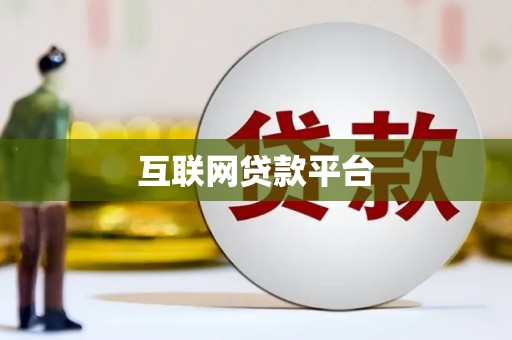 纳溪互联网贷款平台