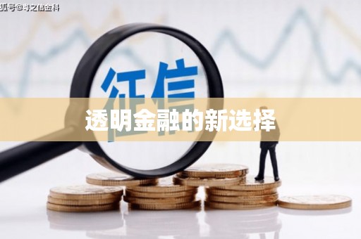 息县透明金融的新选择
