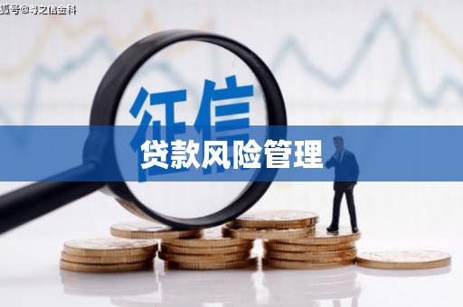 刚察贷款风险管理