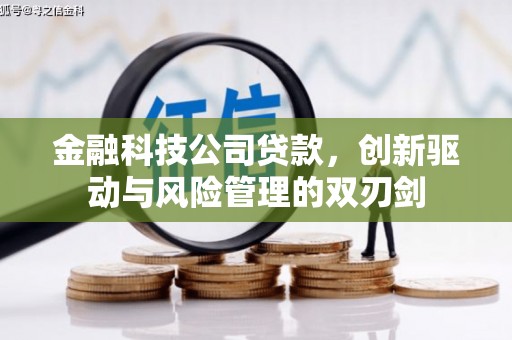 天元金融科技公司贷款，创新驱动与风险管理的双刃剑
